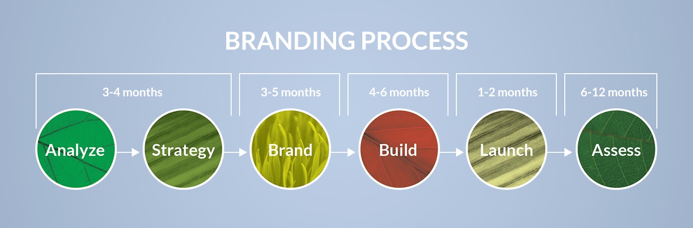 Branding перевод. Брендинг процесс. Холестер Брэнд. Process brand Design. The process of rebranding.